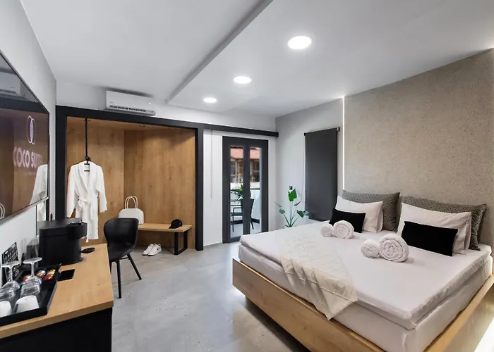 Apartment Coco Vasiliki (Lefkada)